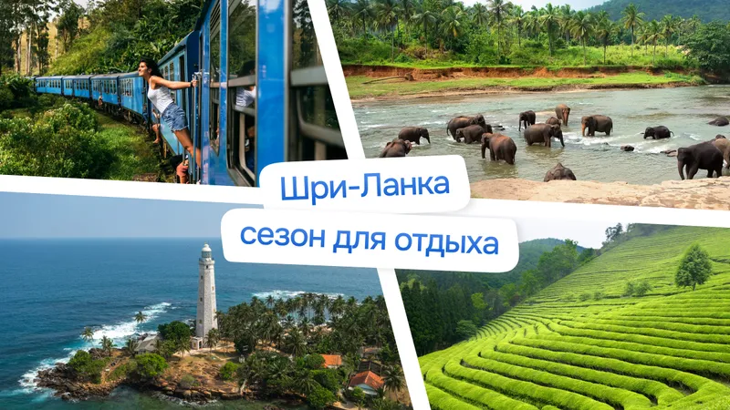 Отдых на Шри-Ланке: сезоны, достопримечательности и особенности
