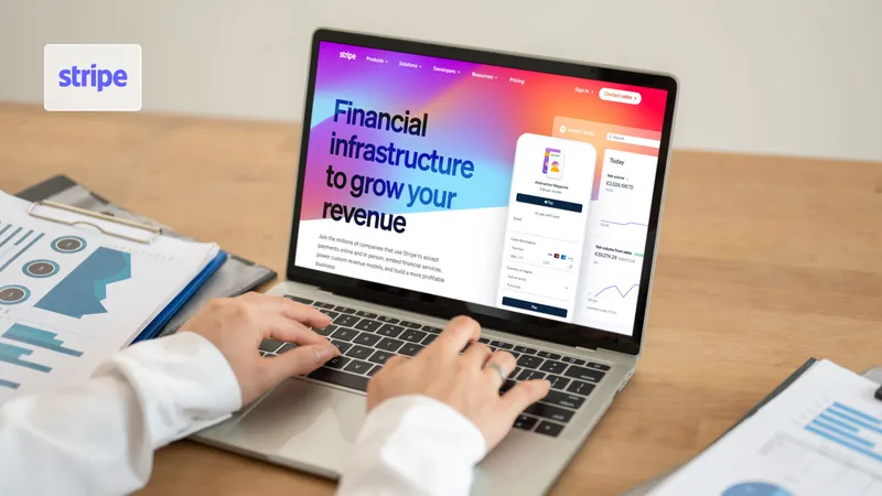 Полный обзор международной платежной системы Stripe