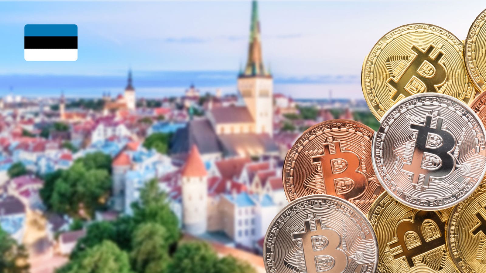 Одиночную криптовалютную лицензию в Эстонии можно получить, чтобы поставлять услуги кошелька либо обменника цифровых платежных средств.