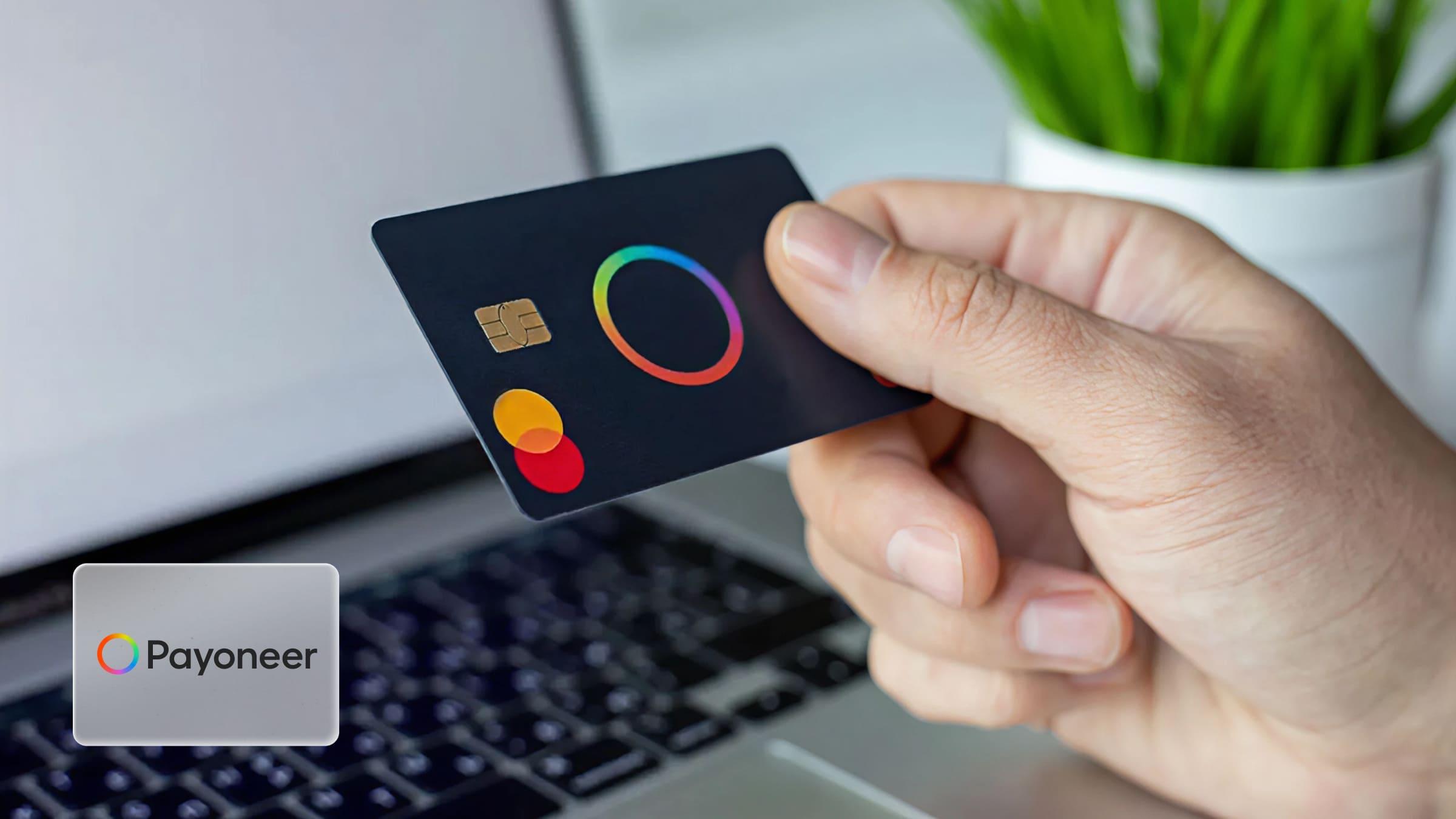 Чтобы выводить деньги с платежной системы, мы открыли бизнес-счет в банке Payoneer