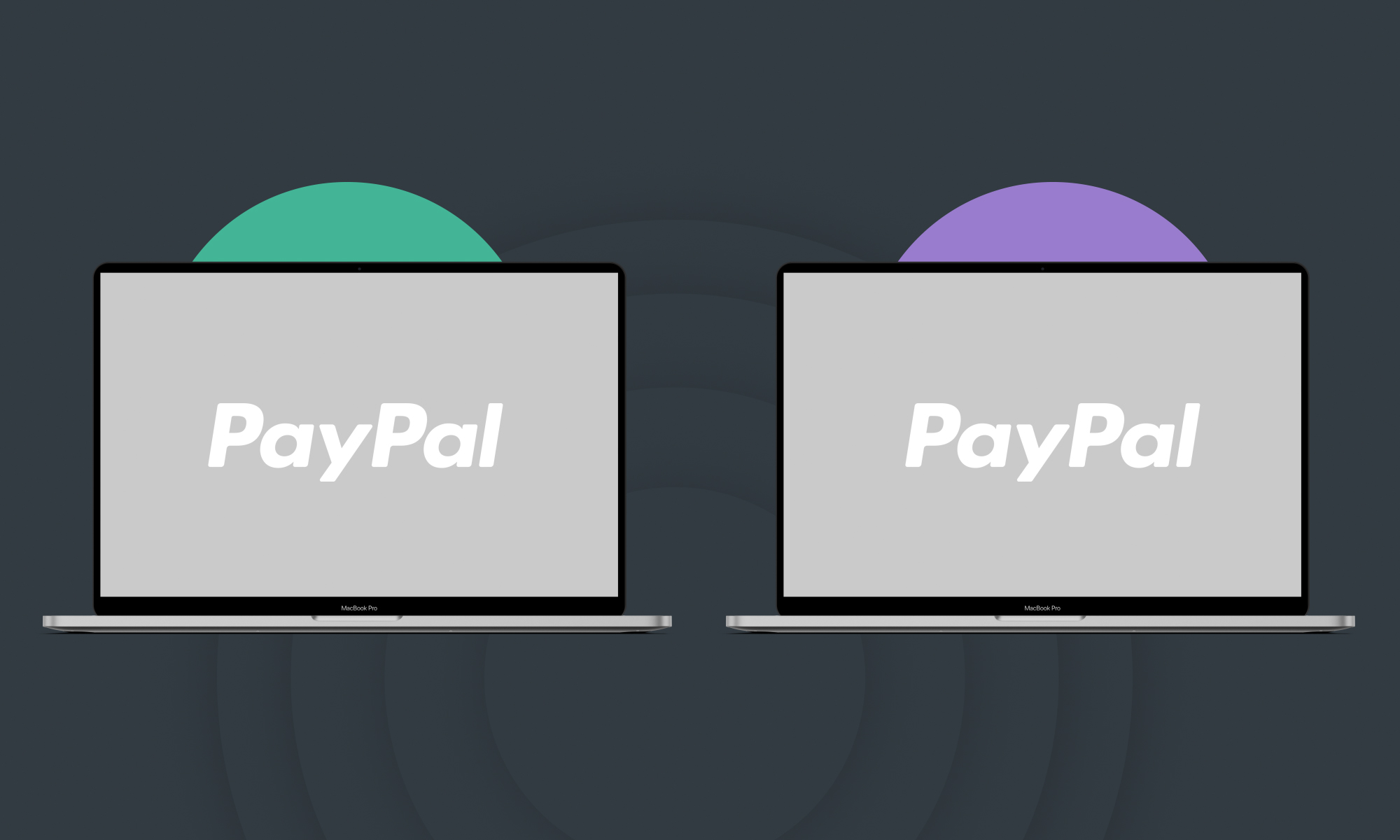 Отличия корпоративного и личного аккаунта Paypal